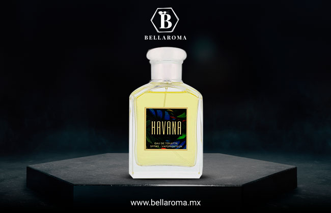 Aramis: Havana perfume original