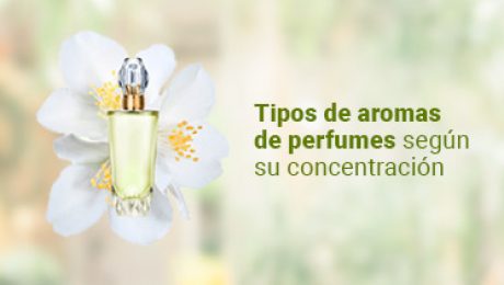 banner de redes de tipos de aromas de perfumes segun su concentracion