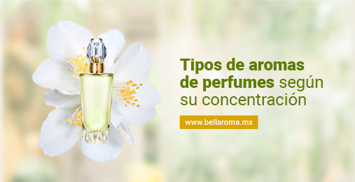 Tipos aromas de perfumes concentración