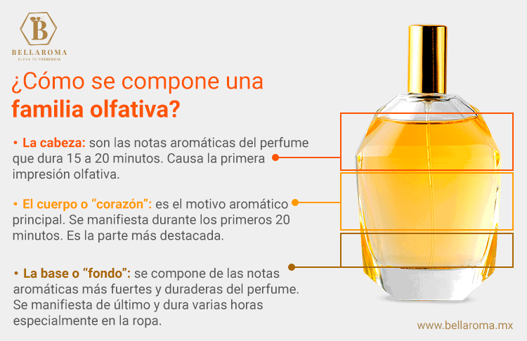 Infografía ¿Cómo se compone una familia olfativa?