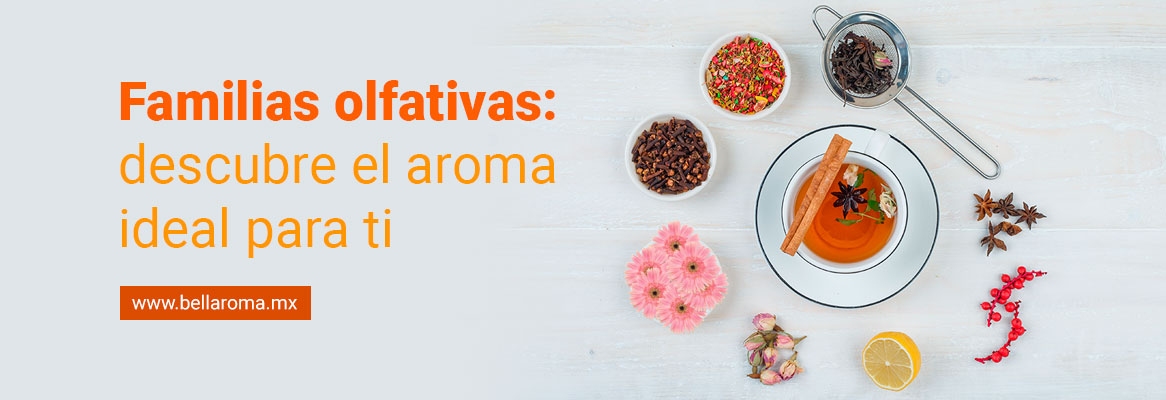 Portada de artículo Familias olfativas: descubre el aroma ideal para ti 