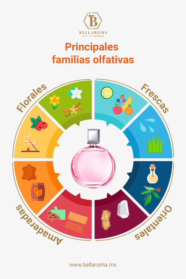 Infografía de las Principales Familias Olfativas