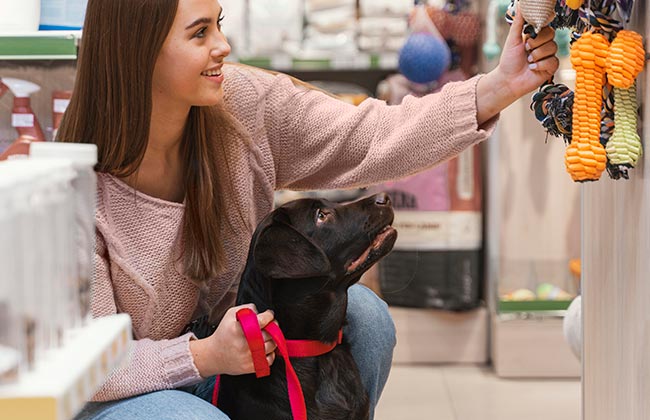 Ideas de negocio para mujeres emprendedoras, tienda de mascota