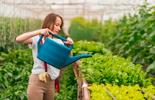 Idea de negocio para mujeres emprendedoras: Vivero