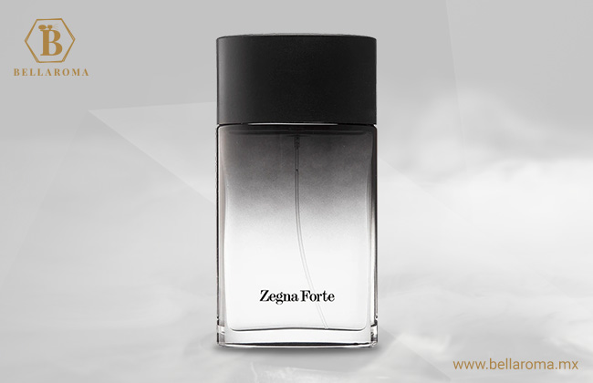 Ermenegildo Zegna Forte
