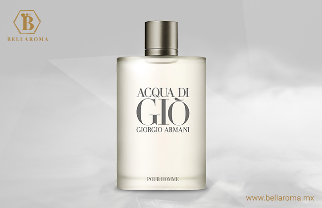 Perfume Giorgio Armani Aquia di gio