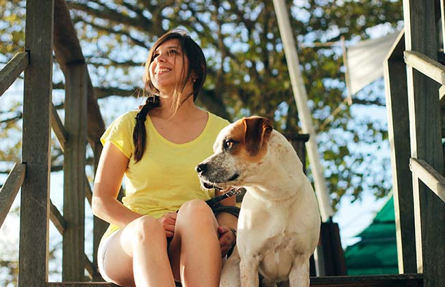 Guardería de mascotas, negocio desde casa