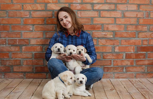 Ideas para ganar dinero extra: Guardería de mascotas