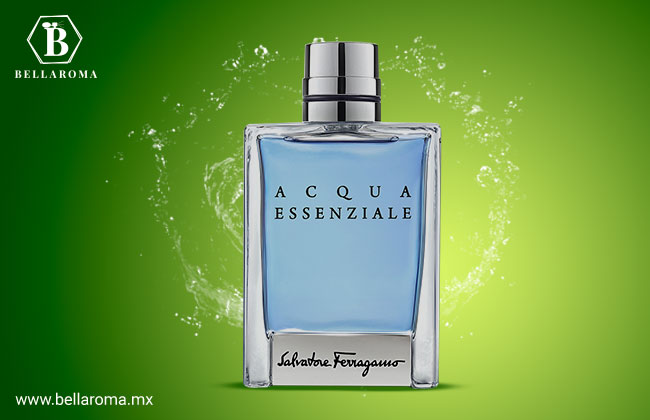 Perfumes con olor a bergamota: las mejores fragancias para hombre