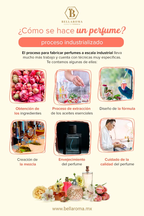 Infografía con el proceso industrial para hacer un pefume