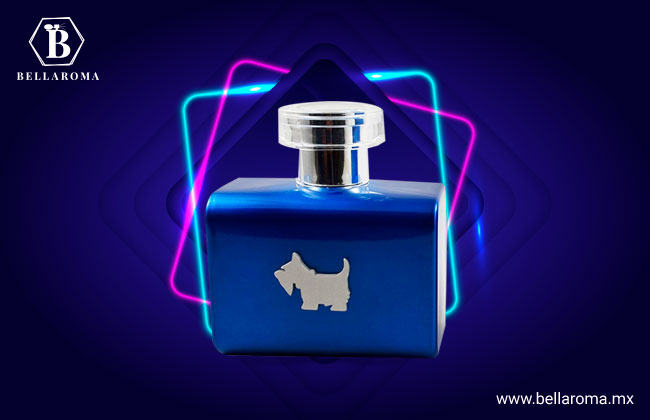 Perfume Ferrioni Terrier Blue para hombre 