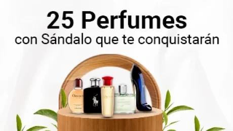 Portada mini 25 Perfumes con Sándalo que te conquistarán