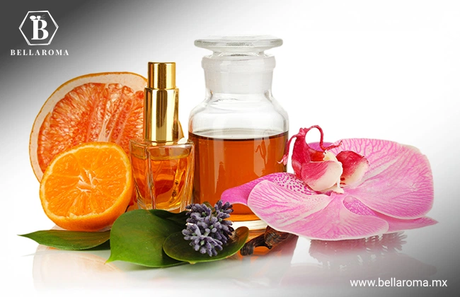 Clasificar el perfume por tipos de familia