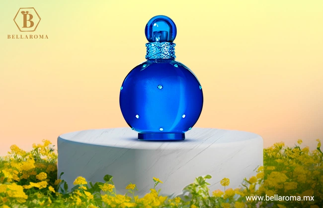 Midnight Fantasy de Britney Spears, fragancia para dama de primavera y verano