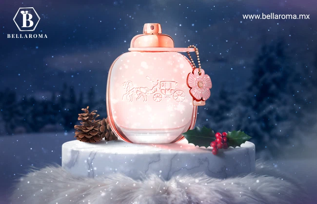 Frasco de colonia para damas