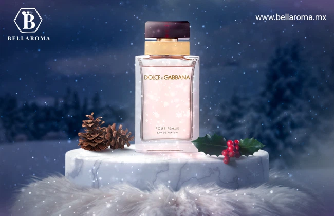 para usar durante el invierno