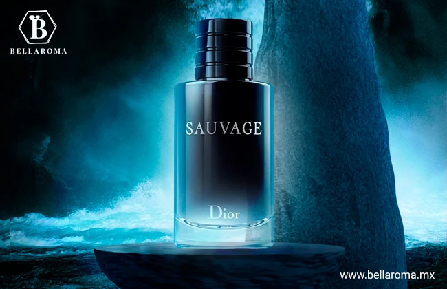 Sauvage de Christian Dior