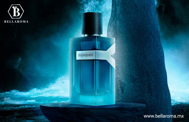 Fragancia recomendada para caballeros Y Intense de Yves Saint Laurent