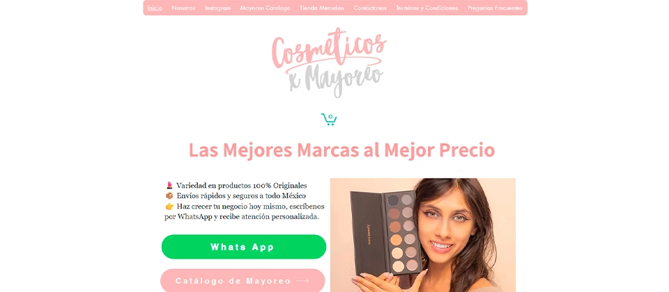 Página principal de la tienda en línea Cosméticos por mayoreo GDL
