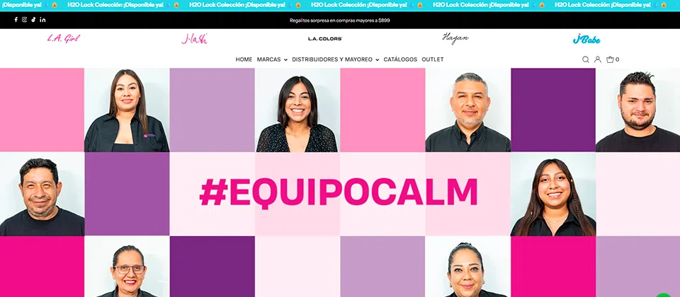 Tienda en línea de Cosméticos a la Moda especializada en maquillaje y belleza