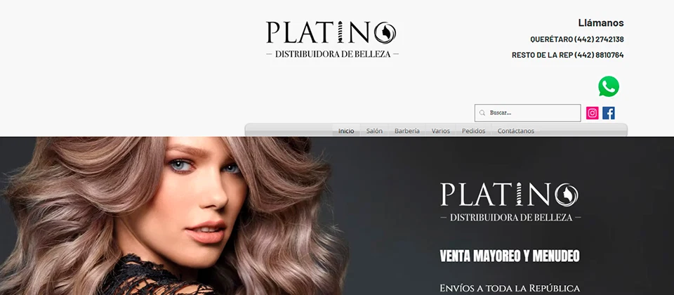 Página web de Distribuidora Platino, distribuidores de productos profesionales y cosméticos para salones