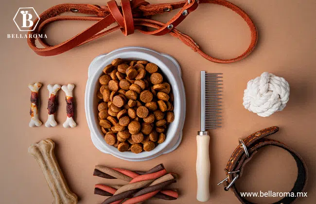 Kit de productos para perros sobre un fondo café que incluye un plato con croquetas, correas de piel, cepillo y juguetes.